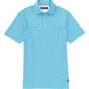 Daniel Cremieux Cotton Blend Stripe Short-Sleeve Polo Shirt